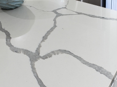 BrennenRd_ColumbiaSC-Kitchen-27