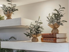 4-LancasterSt_ColumbiaSC-Remodel